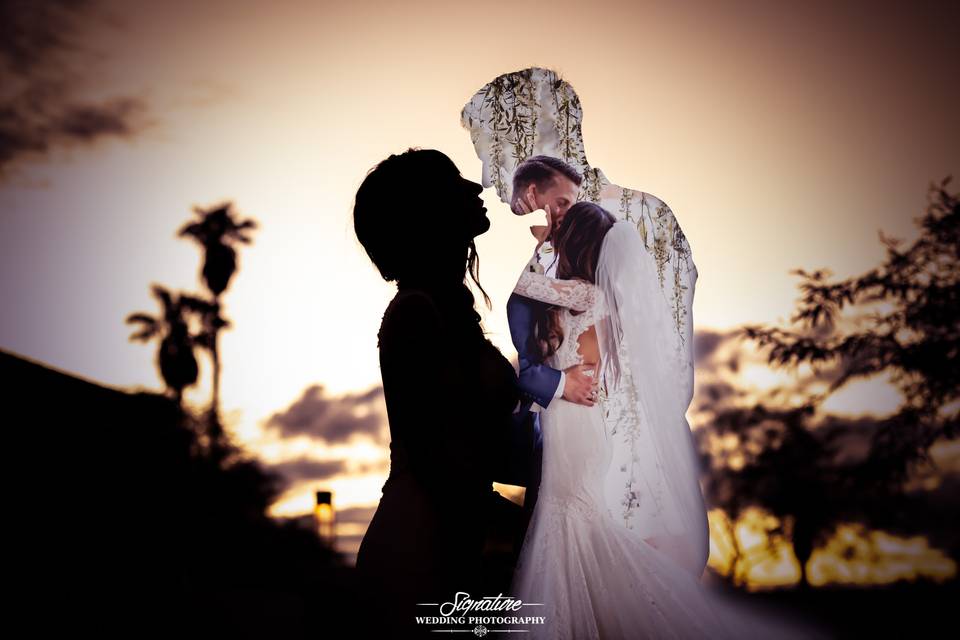 Signature Wedding Photography