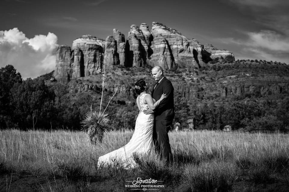 Signature Wedding Photography