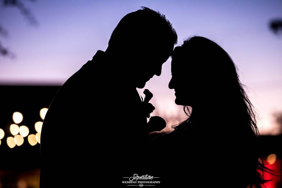 Signature Wedding Photography