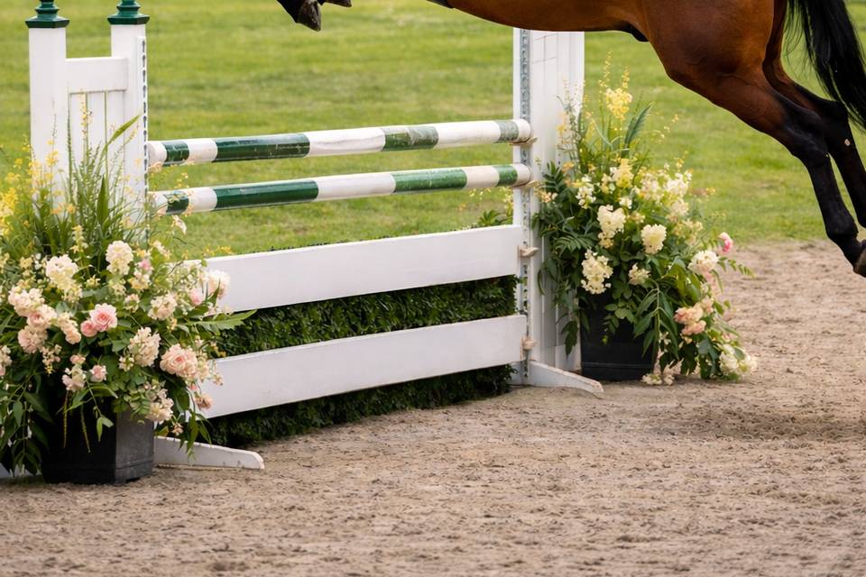 Equestrian