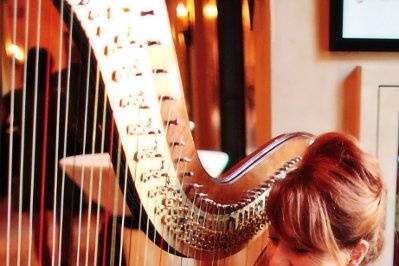 VeeRonna - Harpist