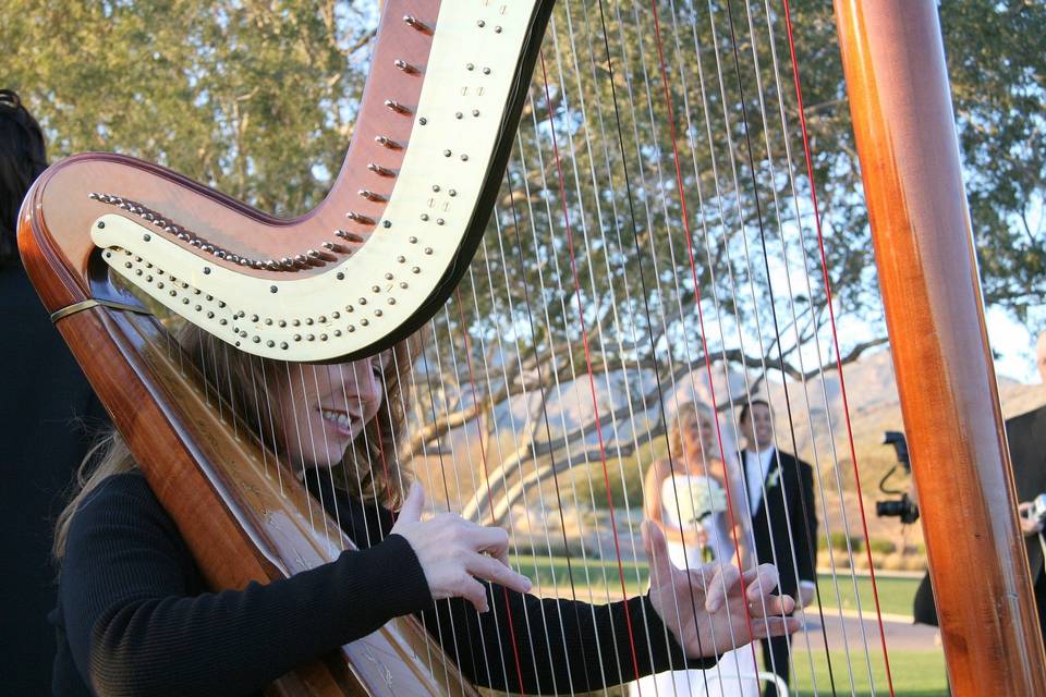 VeeRonna - Harpist