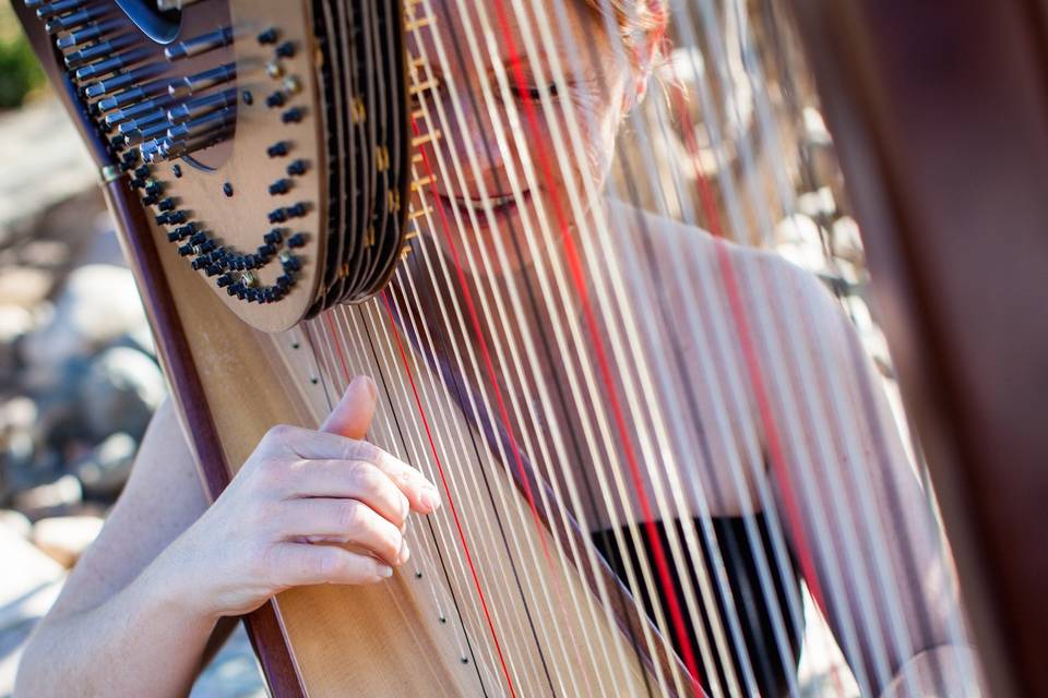 VeeRonna - Harpist