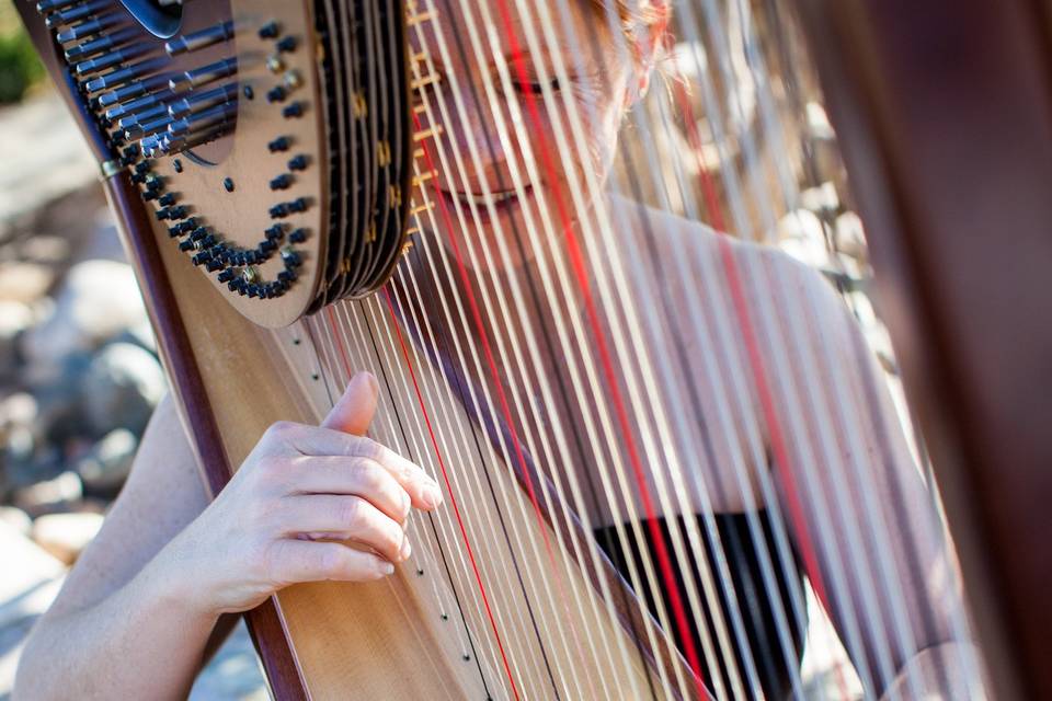 VeeRonna - Harpist