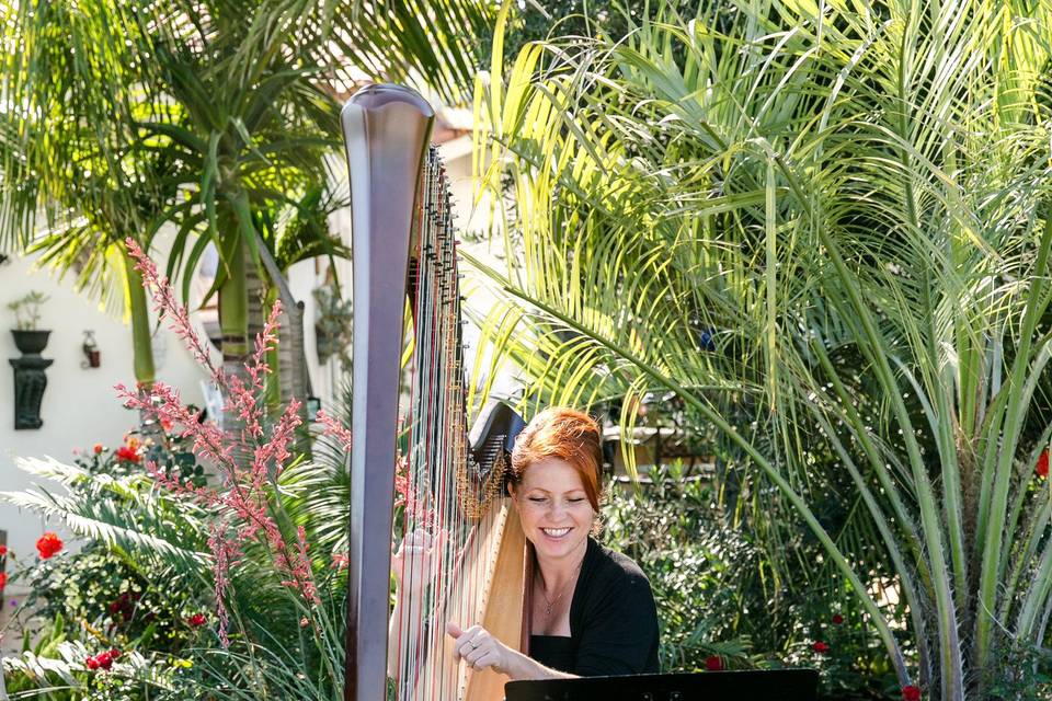 VeeRonna - Harpist