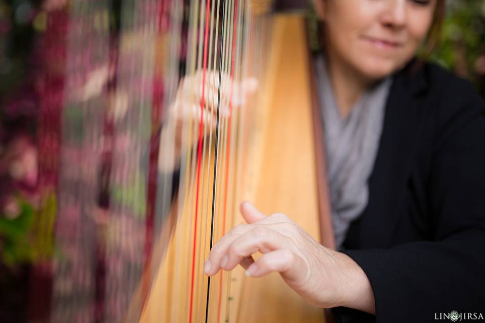 VeeRonna - Harpist