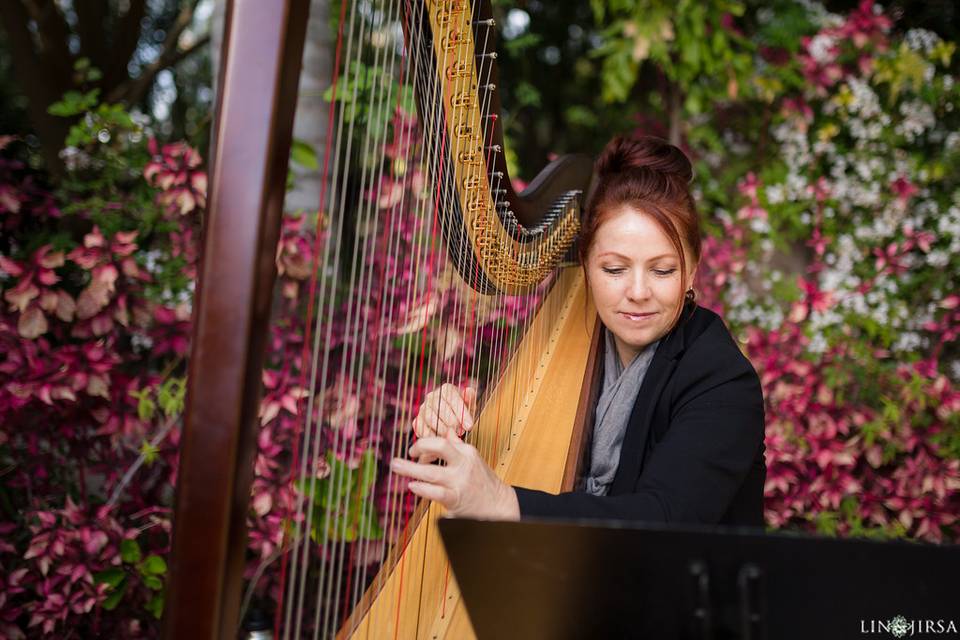 VeeRonna - Harpist