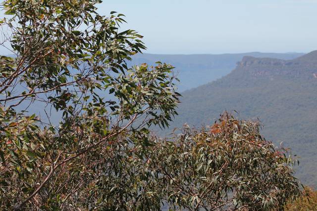 Infinite Voyages by InteleTravel