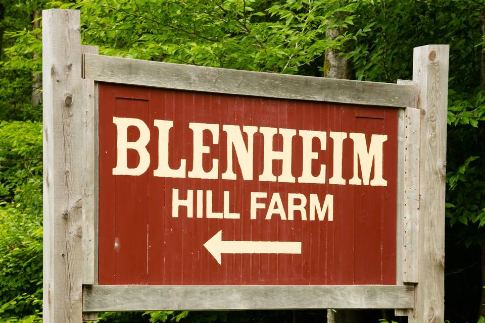 BLENHEIM HILL FARM