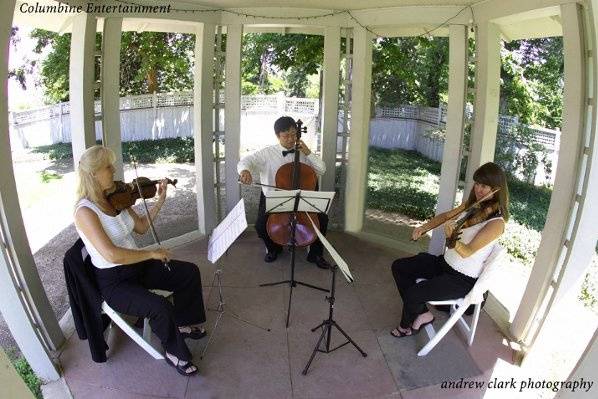 2 Violins, Cello