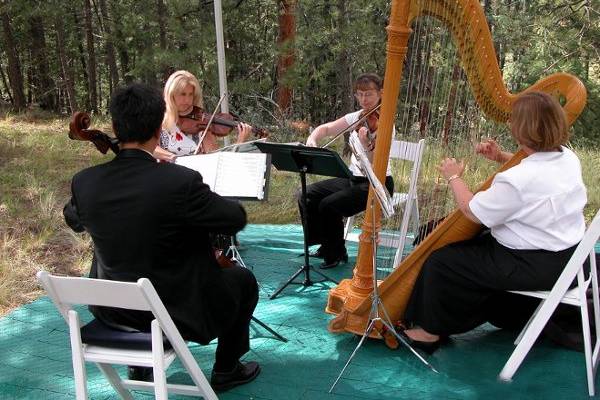 String Trio + Harp