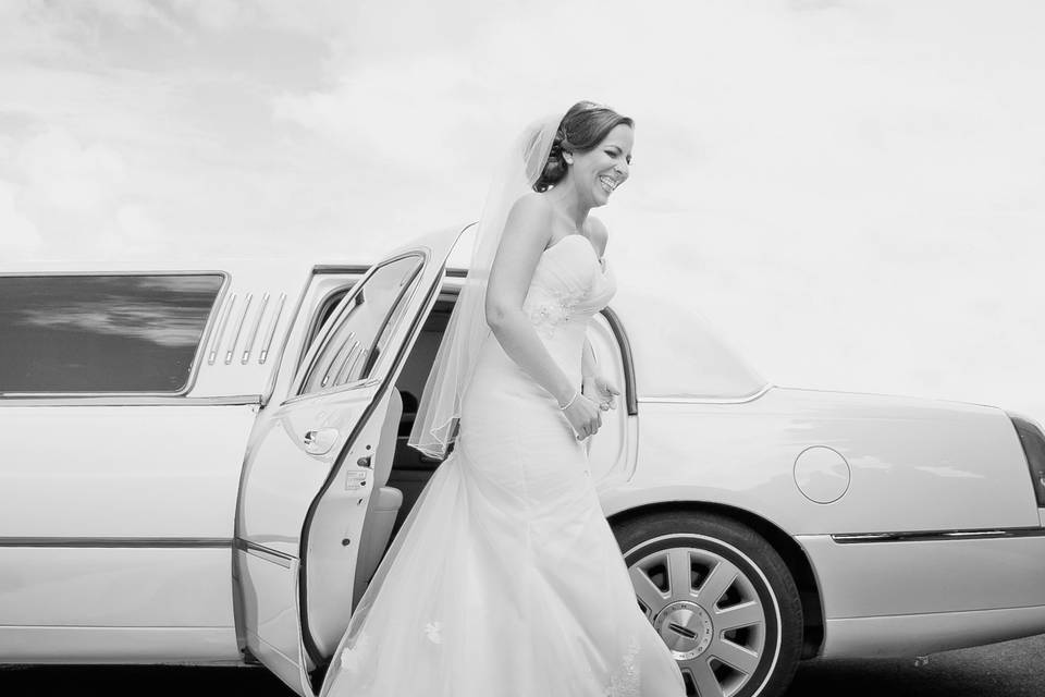 Paloma Photography