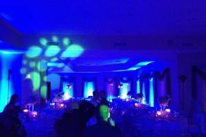 Dance All Night DJs