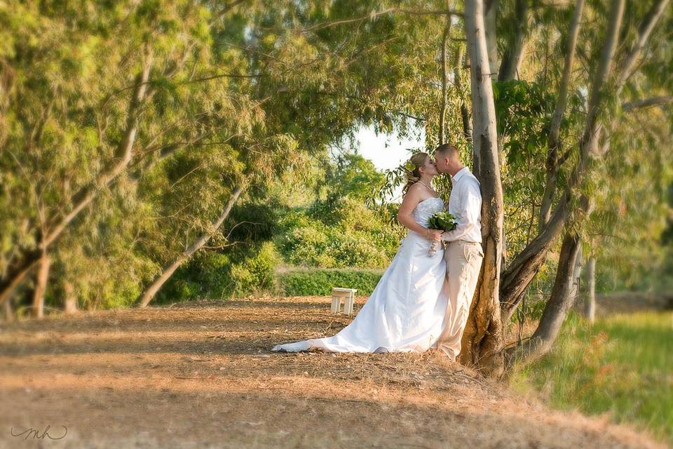 Wedding ceremony