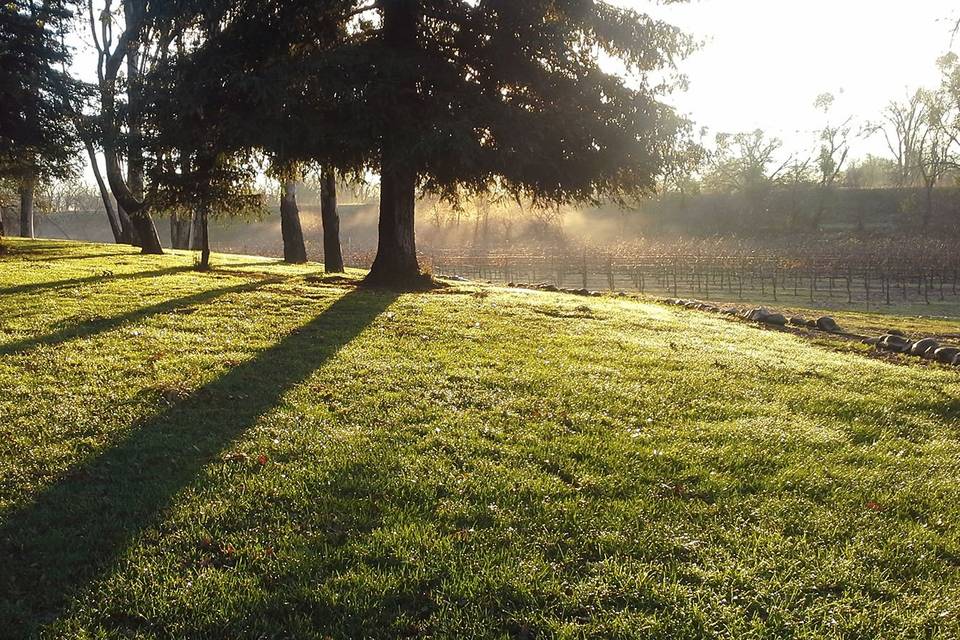 Honker Bay Ranch