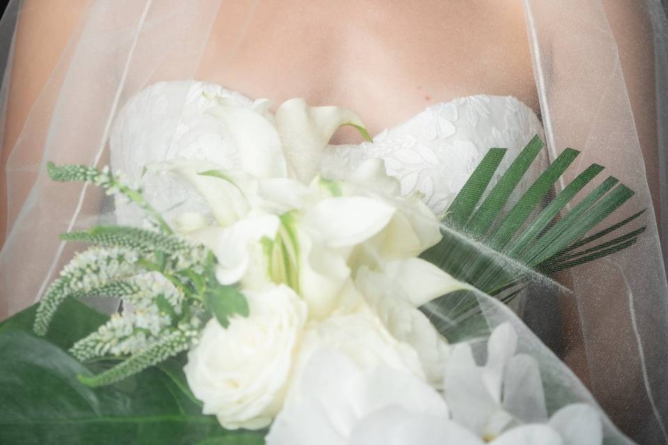 Miami Weddings