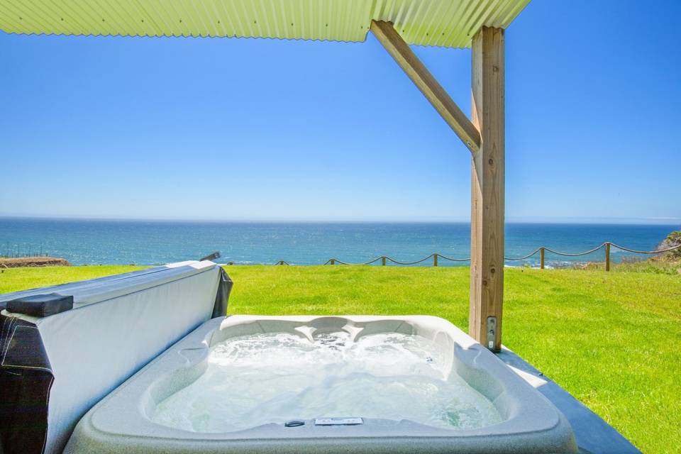 Dolphin Hot Tub