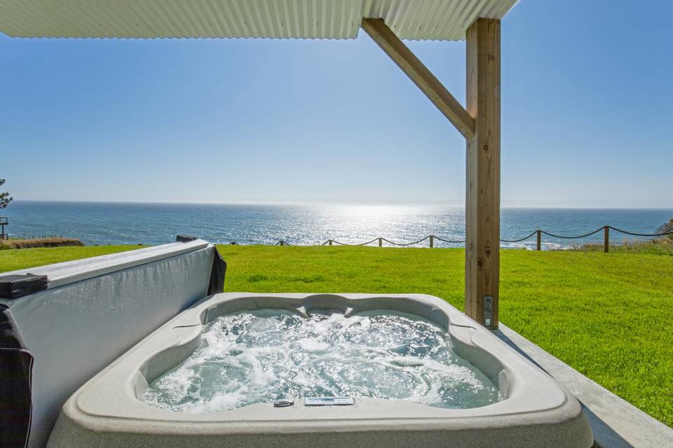 Dolphin Hot Tub