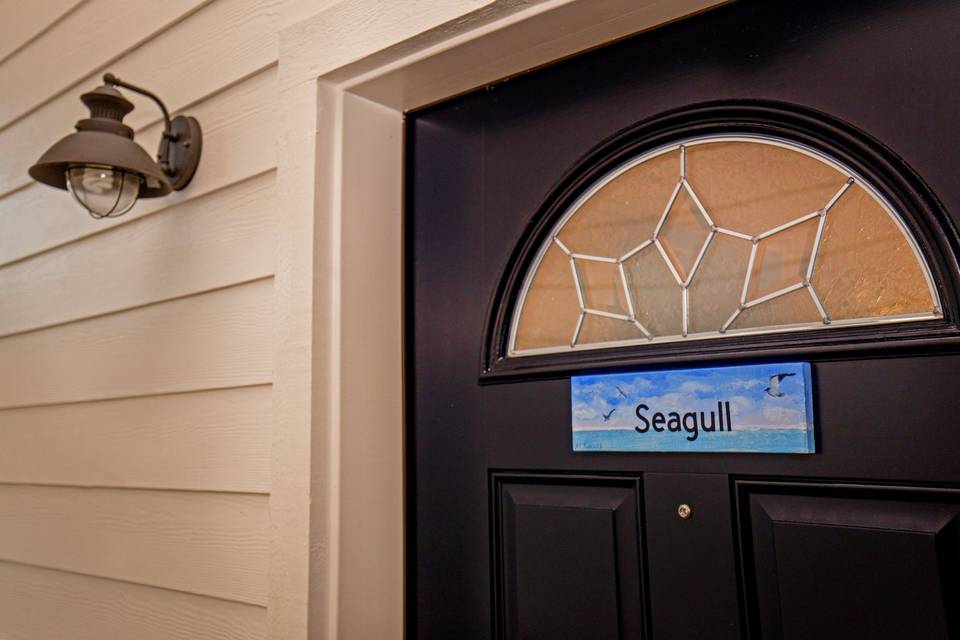 Seagull