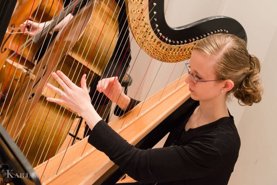 Playing the harp