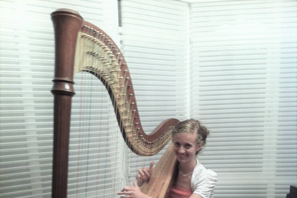 Brittany Burns, Harpist