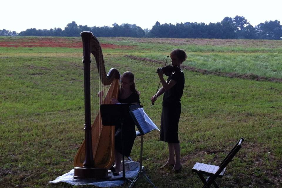 Rural wedding, Opp, AL