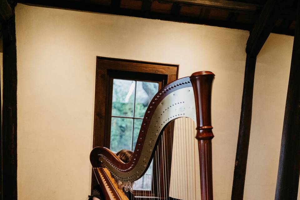 I felt transported to medieval Ireland in this wedding venue! Austin, TXPhoto credit: Ladybird Studios