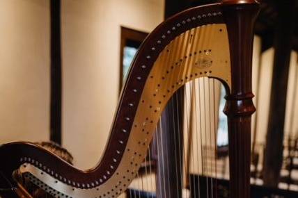 I felt transported to medieval Ireland in this wedding venue! Austin, TXPhoto credit: Ladybird Studios