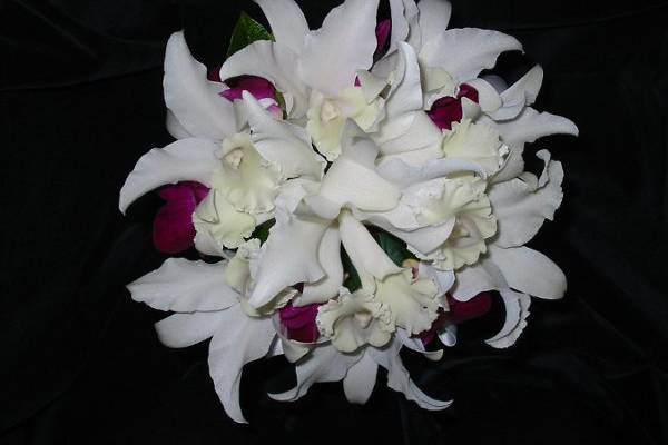 White flowers