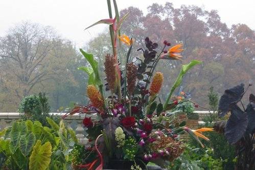 Fireside Flowers