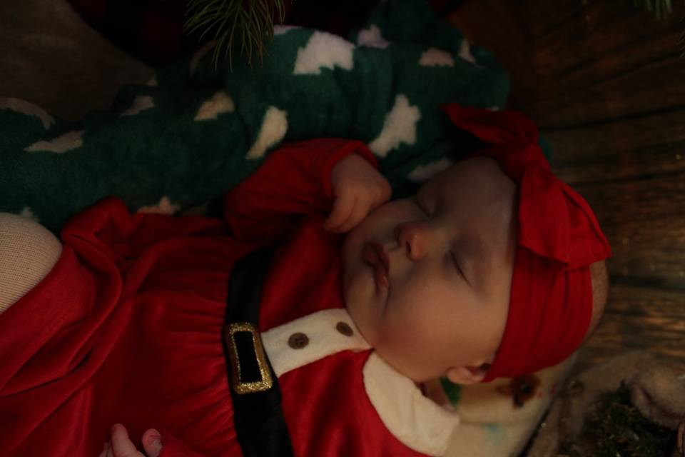 Sleeping under the tree