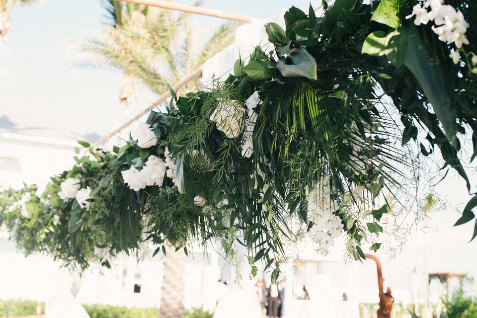 Hanging plants