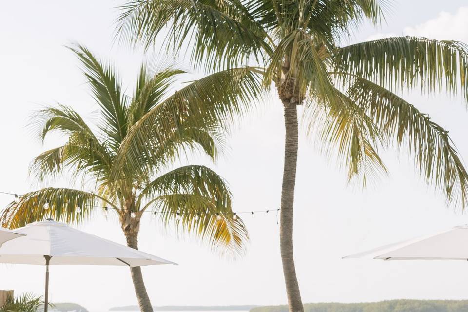 Blue Water Weddings