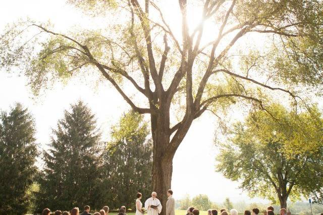 Wedding ceremony