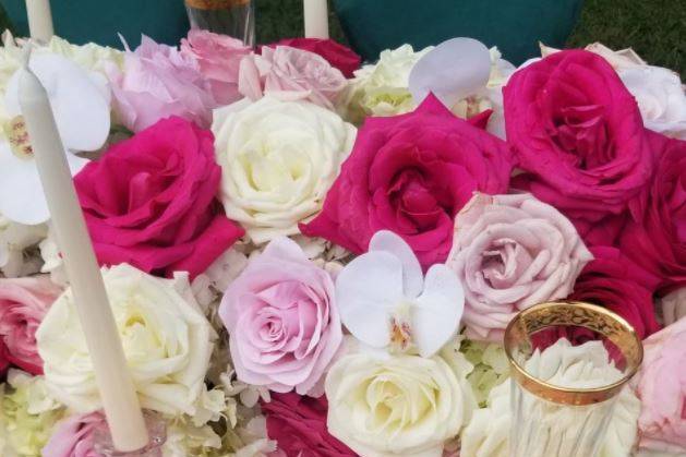 Pink and cream roses