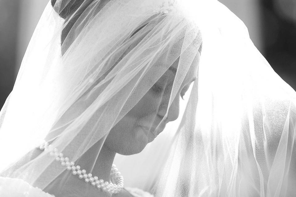 Jill Kaiser Photography
