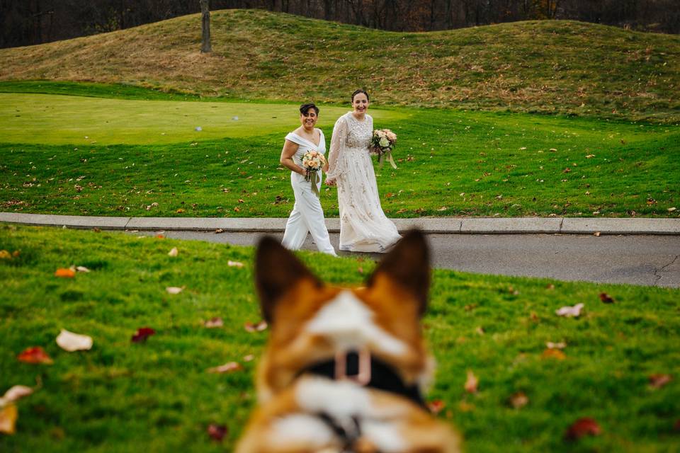 2 brides and their corgi