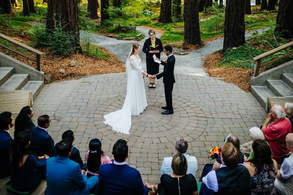 A Redwoods wedding, California