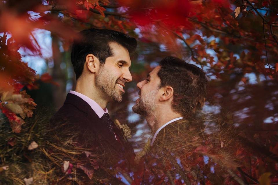 Two grooms in fall