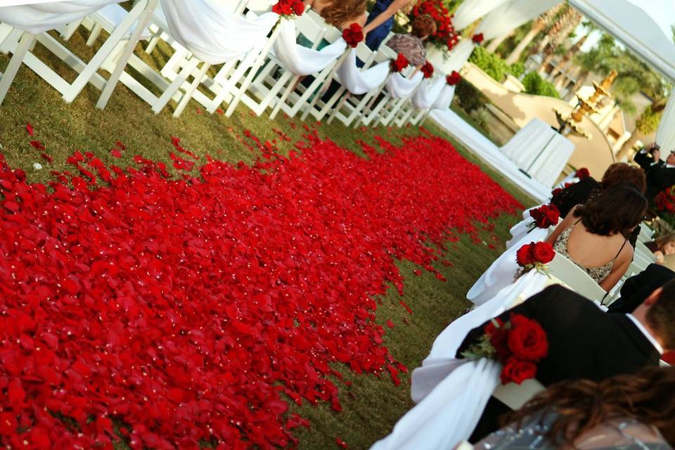 Aisle decorated with red roses petals