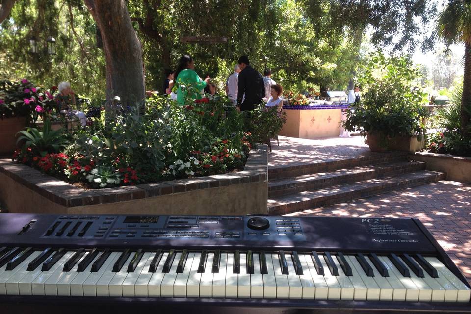 Day after wedding brunch.  Solo Piano, Backyard.  Pianist Eric Zimmermann Elegant Music 626-797-1795