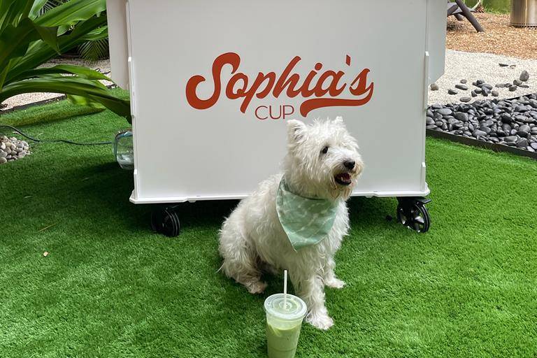 Mario with his Matcha Latte