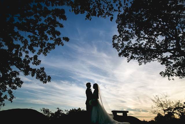 Domenick Michael Photography