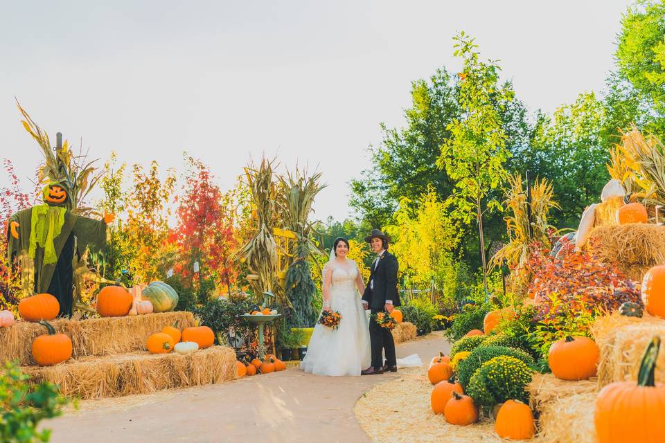 October Pumpkin Patch Weddings