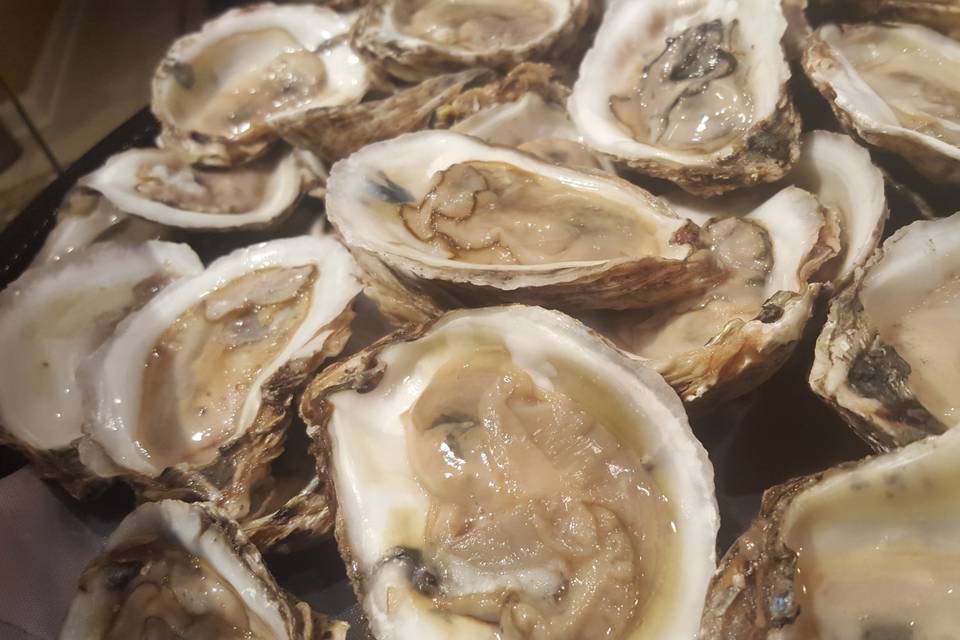 Delicious oysters