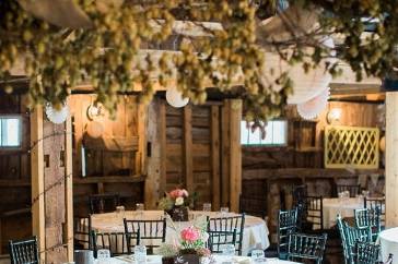 Table setup with centerpiece