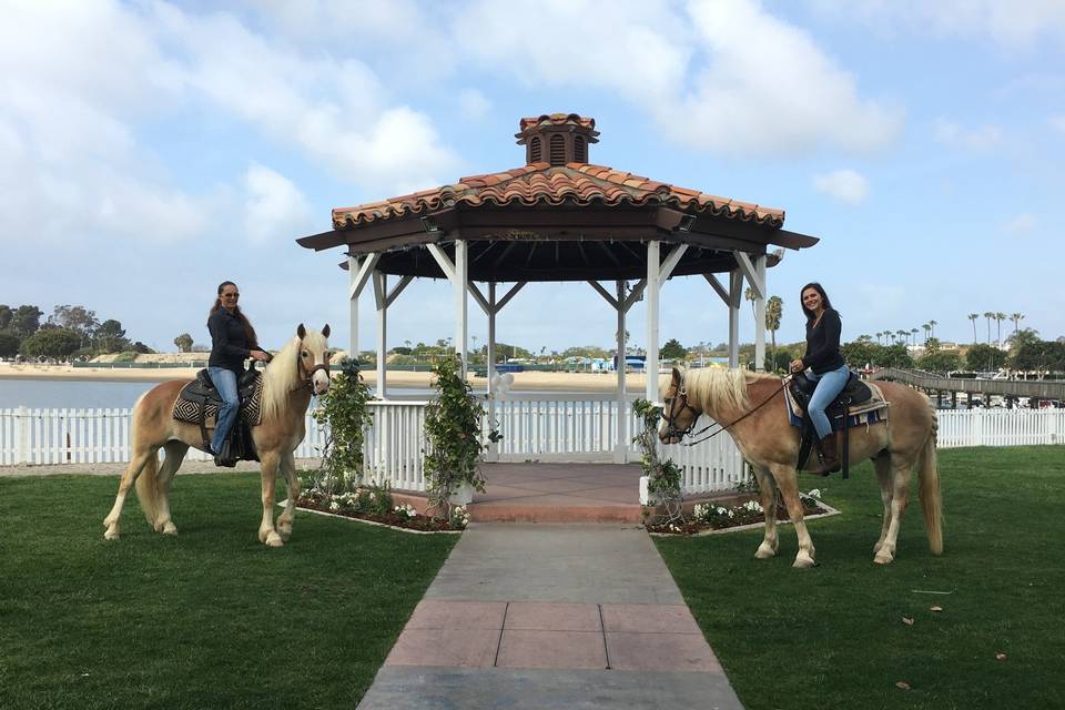 Newport Dunes Gazebo