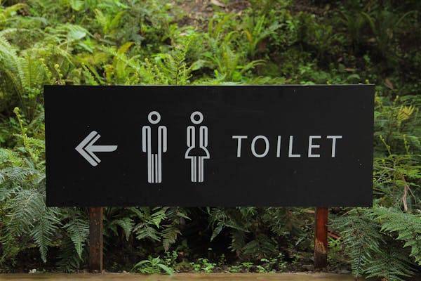Party Potty LLC