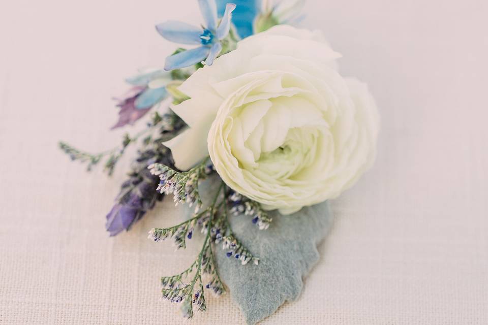 White ranunculus boutonniere