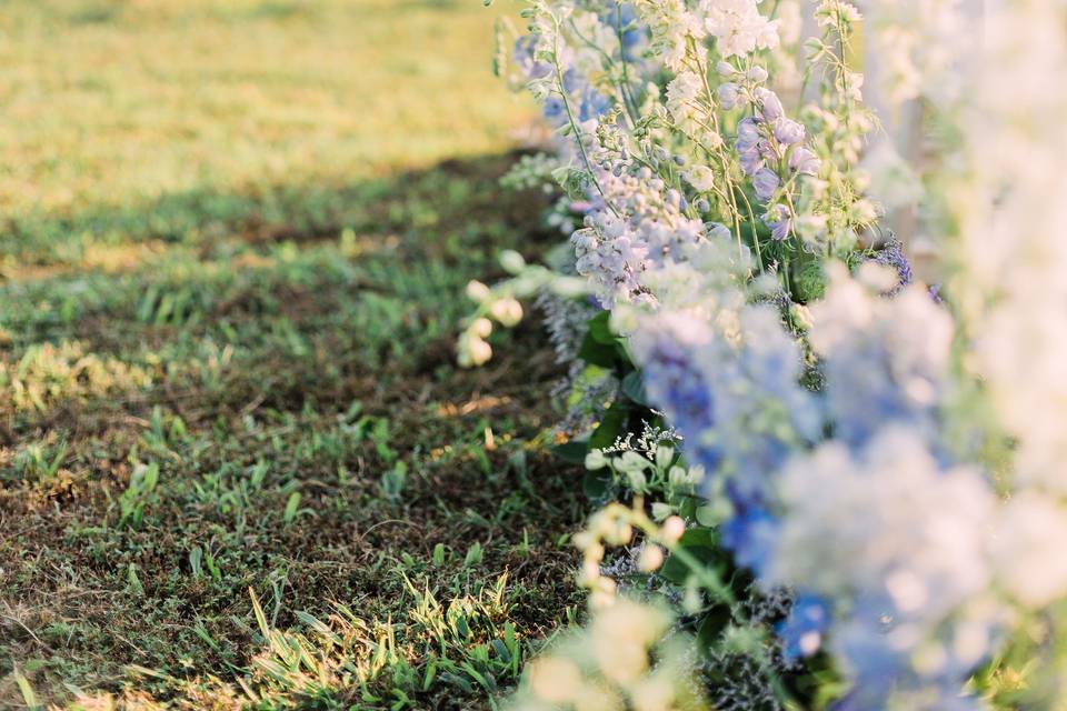 Wildflower aisle and arbor